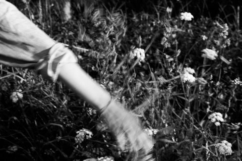 Anke (3)