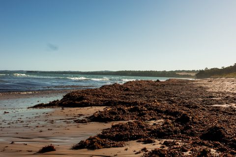 Australian Beaches