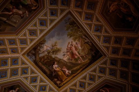 Florence (1)
