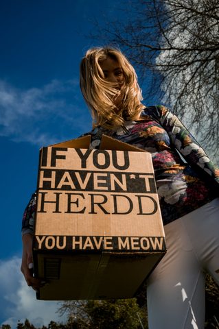 Herdd, the first campaign