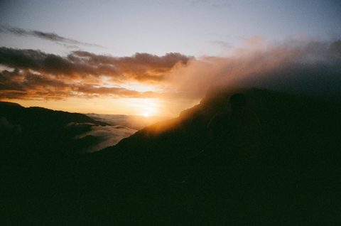 NZ Roadie