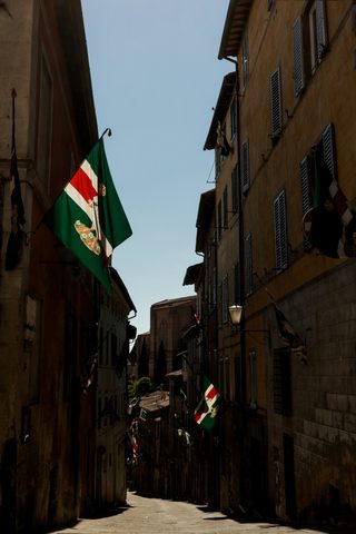 Palio di Provenzano