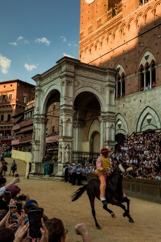 Palio di Provenzano