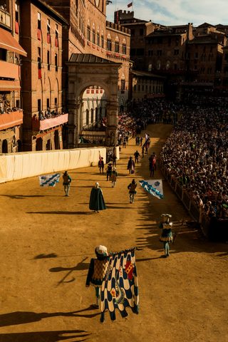 Palio di Provenzano