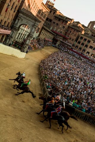 Palio di Provenzano