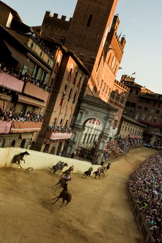 Palio di Provenzano
