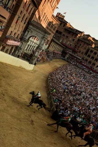Palio di Provenzano